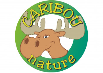 Caribou Nature